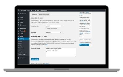 Auction-Nudge-wordpress-plugin